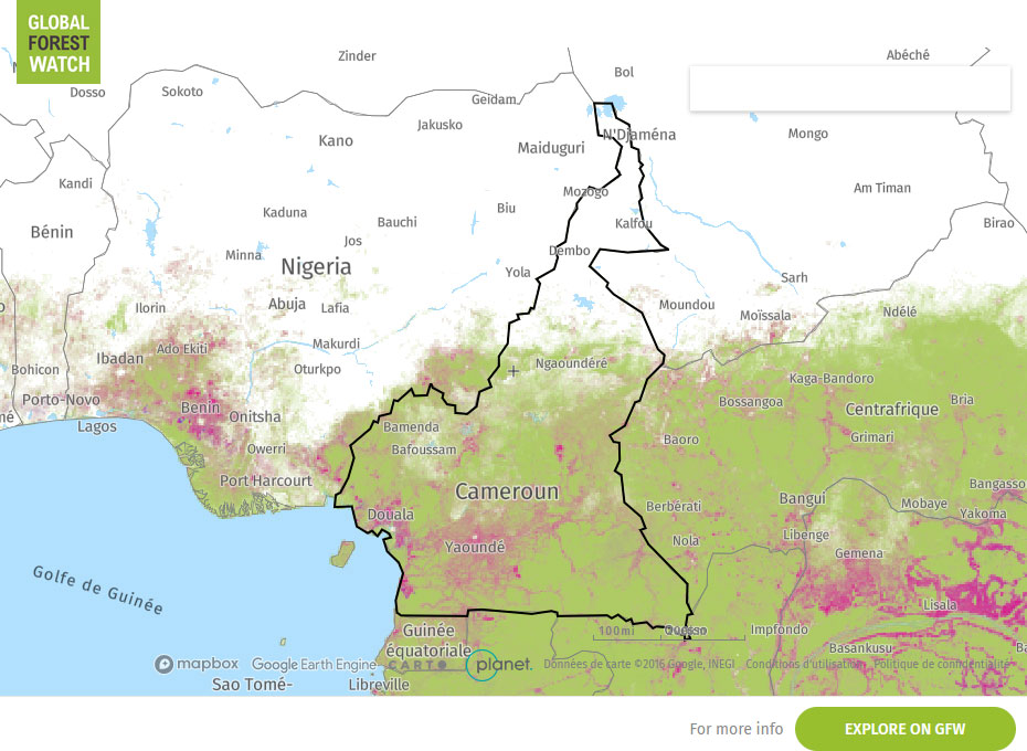 Global Forest Watch Map — Cameroon