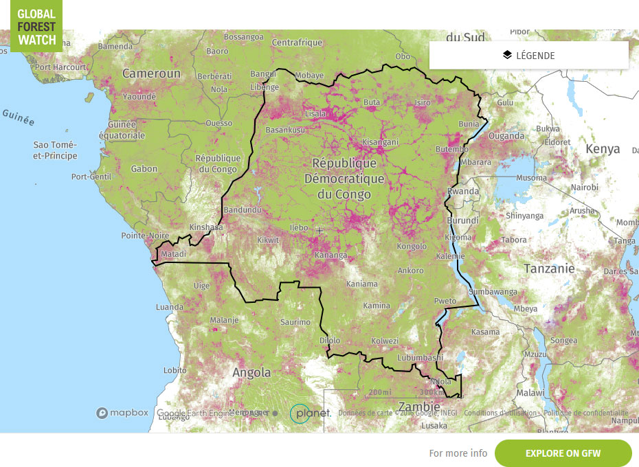 Global Forest Watch Map — DRC